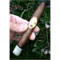 Oliva Serie O Torpedo 6 1/2 * 52