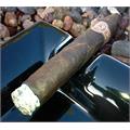 Padron Series 6000 Torpedo Maduro 5 1/2 * 52