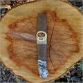 Padron 1926 Serie No. 2 Belicoso Natural 5 1/2 * 52