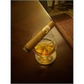 Oliva Connecticut Reserve Robusto 5  * 50