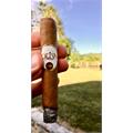 Oliva Connecticut Reserve Robusto 5  * 50