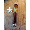 Oliva Master Blends 3 Robusto 5  * 50