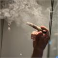 Oliva Master Blends 3 Robusto 5  * 50