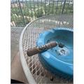 Don Pepin Garcia Black 1979 Robusto 5  * 50