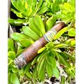 Jaime Garcia Reserva Especial Toro Gordo 6  * 60