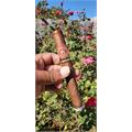 Arturo Fuente Flor Fina 8-5-8 Sungrown 6 1/4 * 47