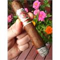 Arturo Fuente Rosado Sungrown Magnum R 52 5  * 52
