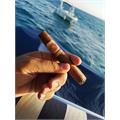Arturo Fuente Rosado Sungrown Magnum R 56 5 5/8 * 56