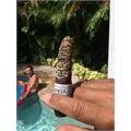 Liga Privada Unico Feral Flying Pig 5 3/8 * 60