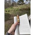 Brick House Robusto 5  * 54