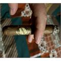 Brick House Robusto 5  * 54