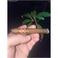 Arturo Fuente Sun Grown Chateau Cuban Belicoso 5 3/4 * 52