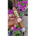 Arturo Fuente Don Carlos No. 2 6  * 55