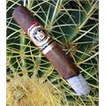 Arturo Fuente Don Carlos Robusto 5  * 50