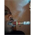 Padron Family Reserve No. 45 Natural 6  * 52
