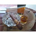 Oliva Serie V Double Toro 6  * 60