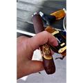 Oliva Serie V Double Toro 6  * 60