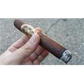 Oliva Serie V Double Toro 6  * 60