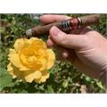 La Flor Dominicana Double Ligero DL 700 6 1/2 * 60