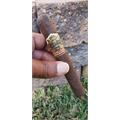 Ashton VSG Wizard 6  * 56