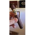 Ashton VSG Wizard 6  * 56