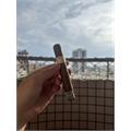 Rocky Patel The Edge Corojo Toro 6  * 52