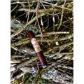 My Father Le Bijou 1922 Grand Robusto 5 5/8 * 55