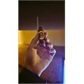H. Upmann 1844 Reserve Belicoso 6 1/8 * 52