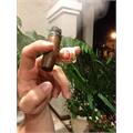 H. Upmann 1844 Reserve Belicoso 6 1/8 * 52
