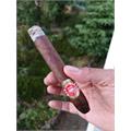 H. Upmann 1844 Reserve Belicoso 6 1/8 * 52