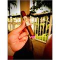 La Aroma de Cuba Mi Amor Magnifico 6  * 52