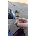 My Father Le Bijou 1922 Torpedo 6 1/8 * 52