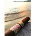 My Father Le Bijou 1922 Torpedo 6 1/8 * 52