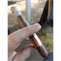 Acid Subculture Toast 6  * 50
