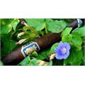 Liga Undercrown Maduro Gran Toro 6  * 52