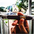 Liga Undercrown Maduro Belicoso 6  * 52
