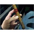 Room 101 LTD Namakubi Tiburon 6  * 44