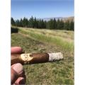 Oliva Serie O Double Toro 6  * 60
