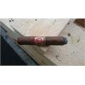 Arturo Fuente Natural Exquisitos 4 1/2 * 33