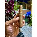 Arturo Fuente Opus X Perfecxion X 6 1/4 * 48