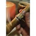 Alec Bradley American Classic Blend Robusto 5  * 50