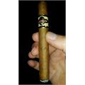 Quorum Shade Corona 5 1/2 * 43