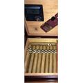 Quorum Shade Corona 5 1/2 * 43