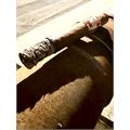 Romeo by Romeo y Julieta Churchill 7  * 56