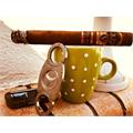 Oliva Serie V Melanio Churchill 7  * 50