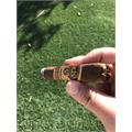 Oliva Serie V Melanio Robusto 5  * 52