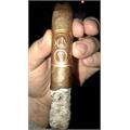 Oliva Serie V Melanio Robusto 5  * 52