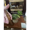 Oliva Serie V Melanio Figurado 6 1/2 * 54