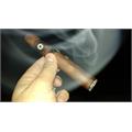 Perdomo 20th Anniversary Sun Grown E656 6  * 56