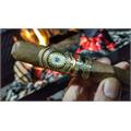 Perdomo 20th Anniversary Sun Grown E656 6  * 56
